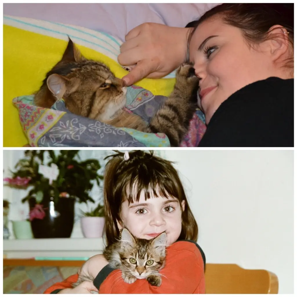 Condolence image of Nici
