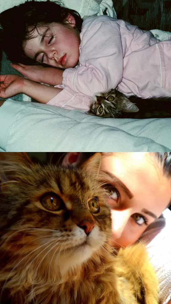 Condolence image of Nici