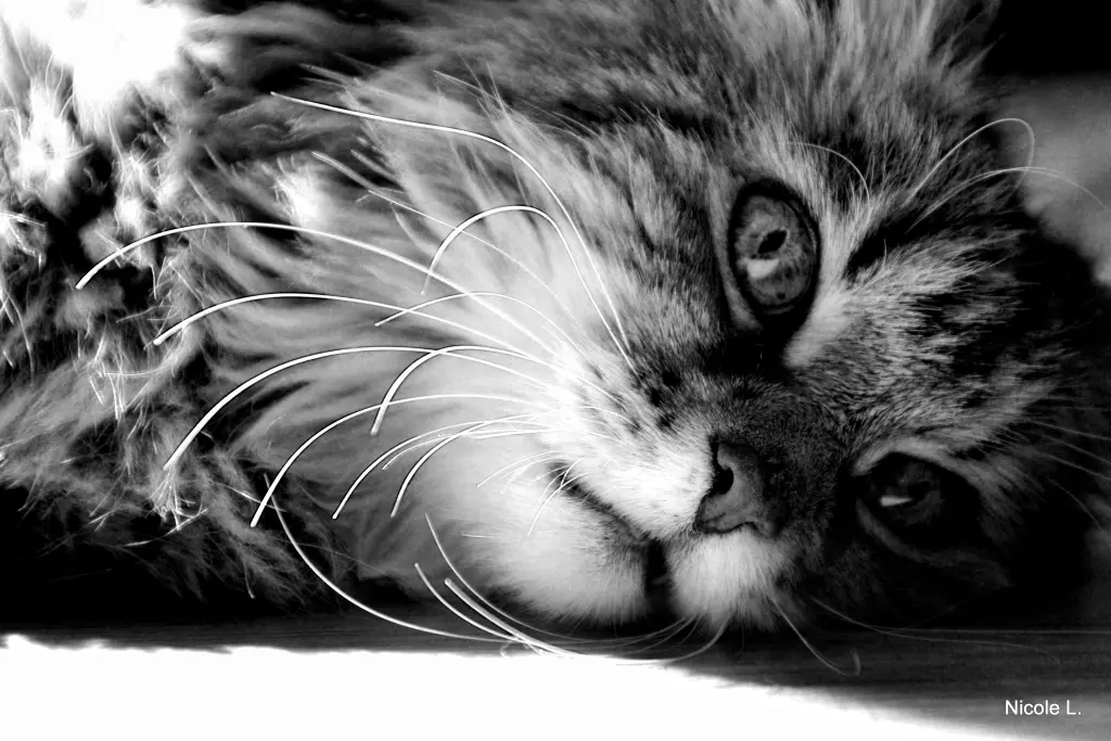 Condolence image of Maria 