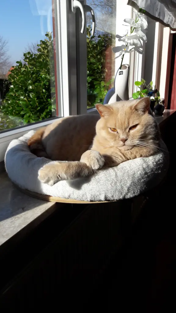 Condolence image of Marion mit Iron im Herzen