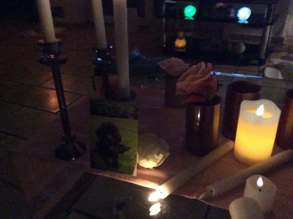 Condolence image of Heidi 