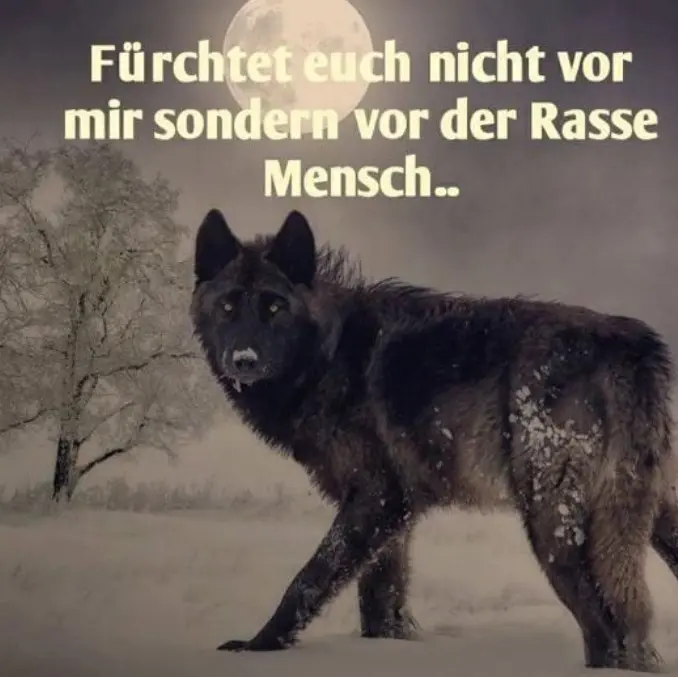 Condolence image of Für d.kl. Seelchen ❤