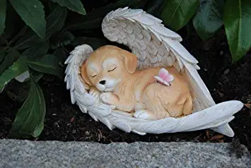 Condolence image of Unbekannt