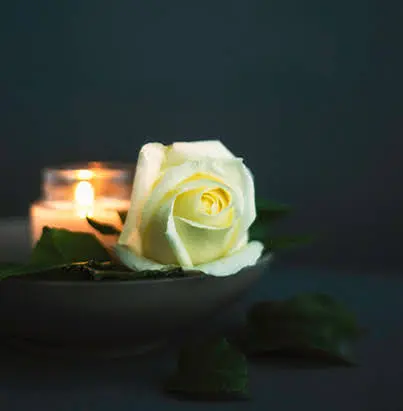 Condolence image of Bine❤Kaspar