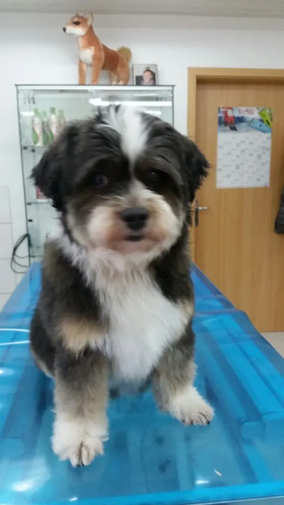 Image from Max