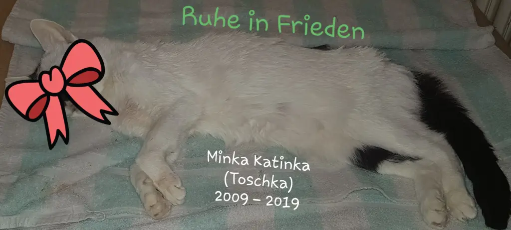Image from Minka Katinka (Toschka)