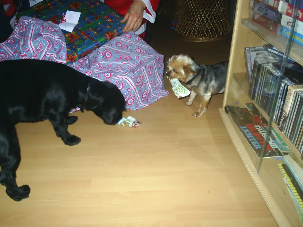 Image from Denny