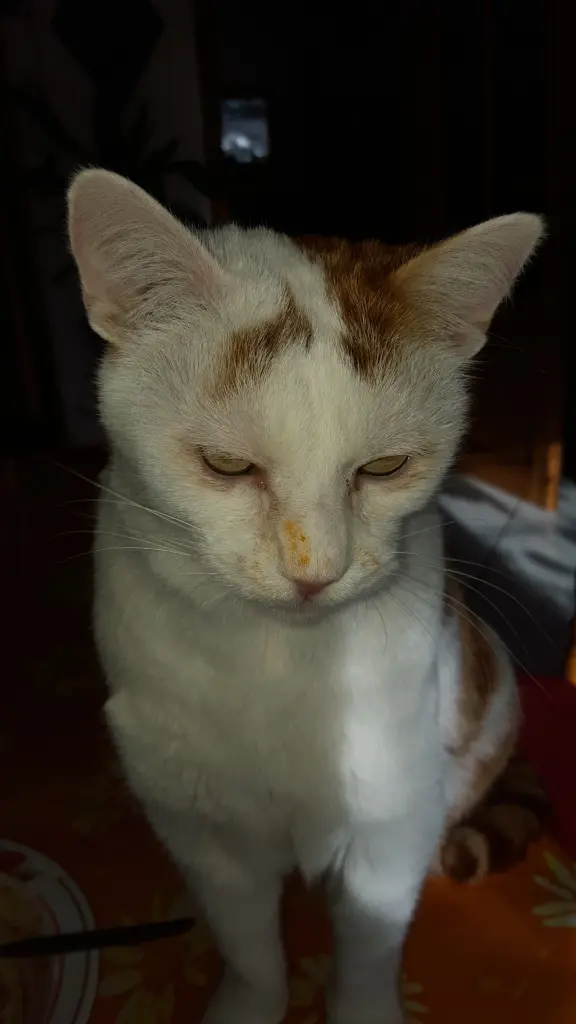 Condolence image of Kathi 