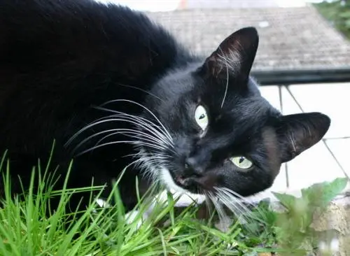 Bild von Ilka