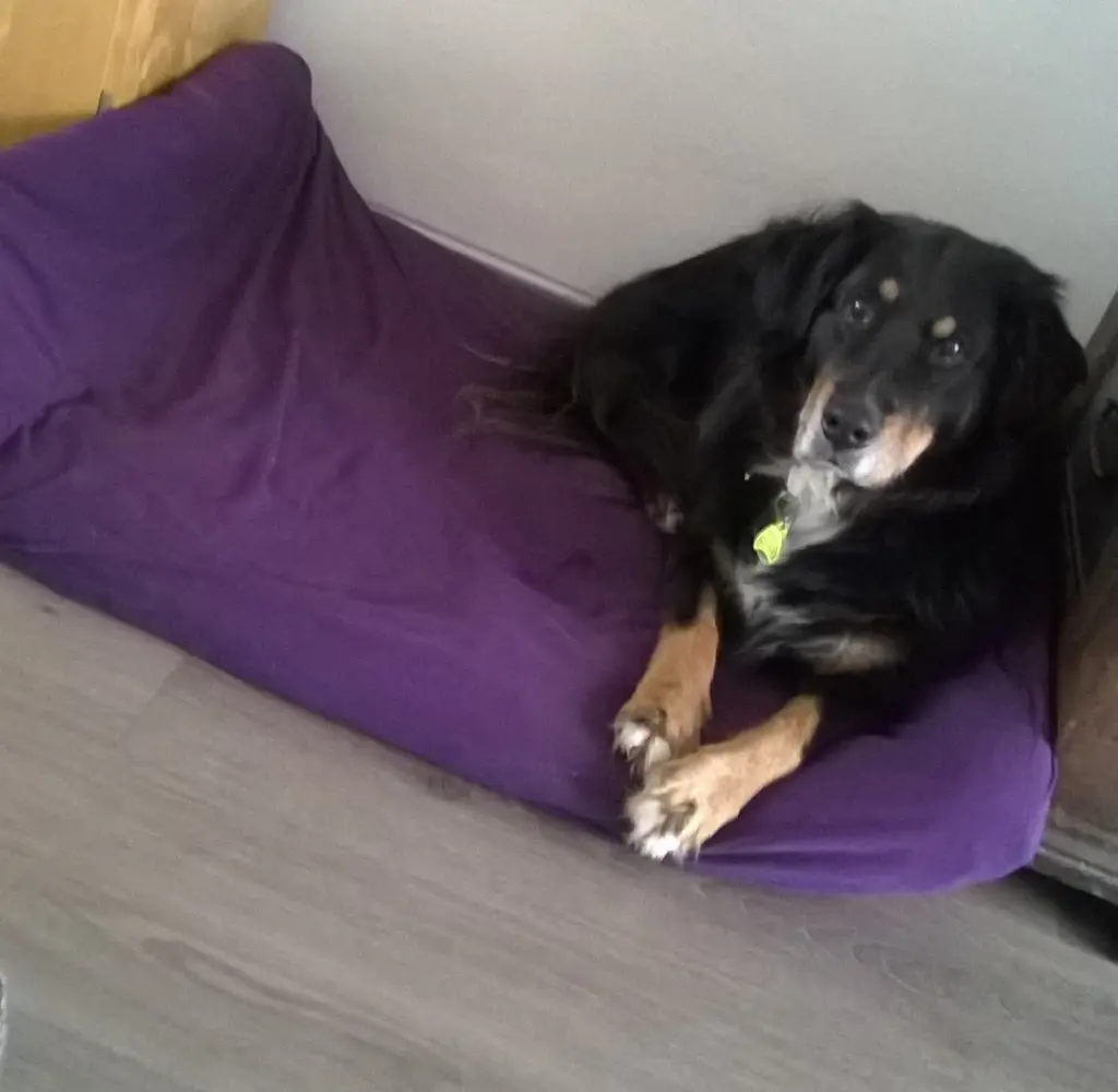 Condolence image of Claudia