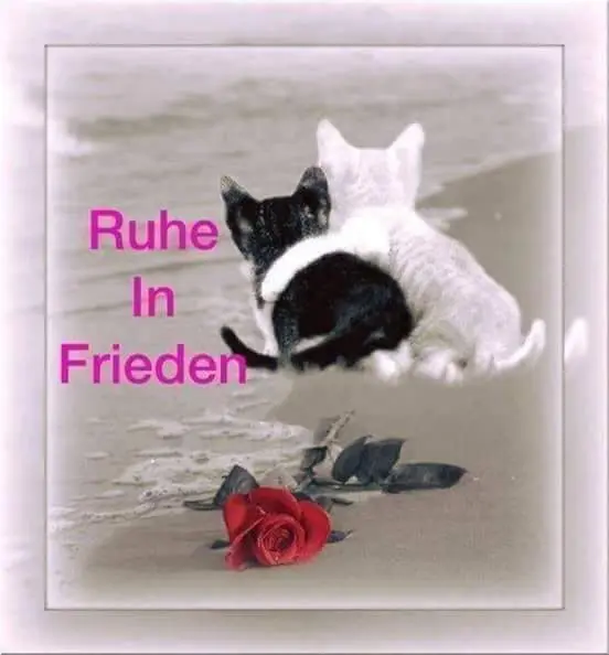 Condolence image of Carmen