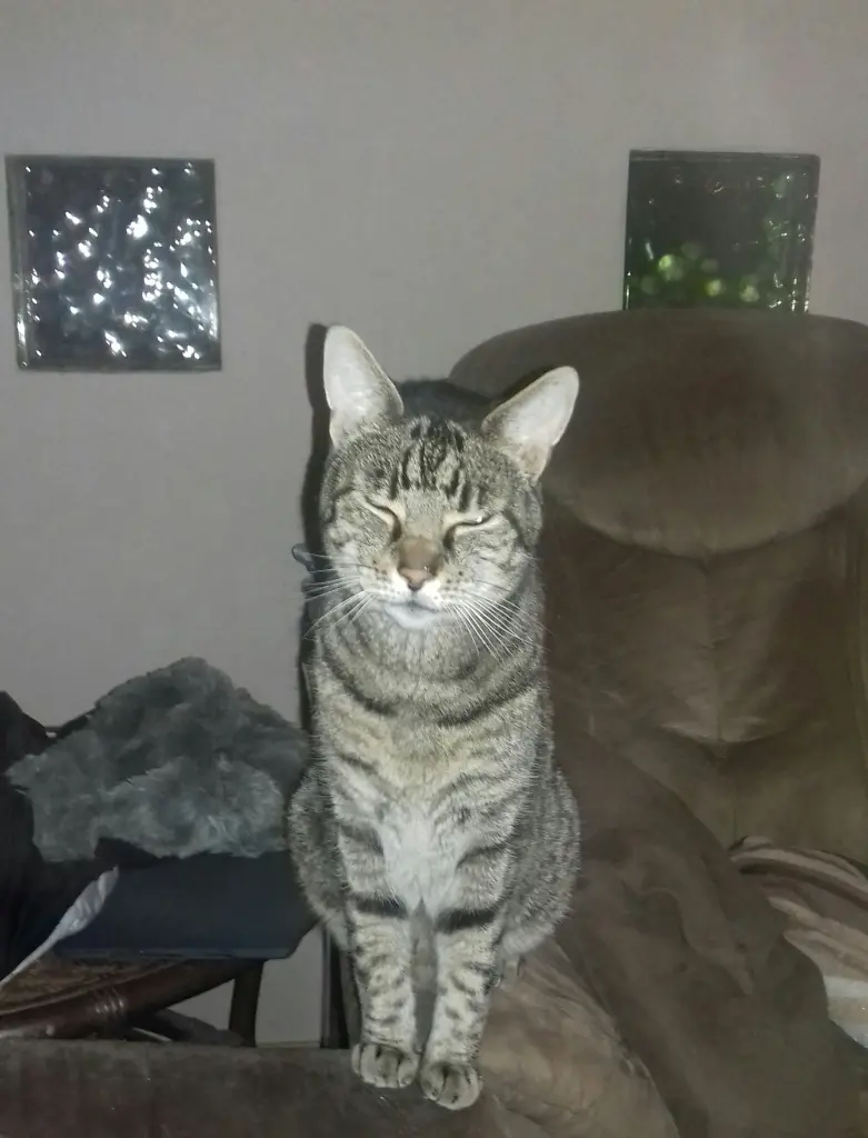 Condolence image of Melanie