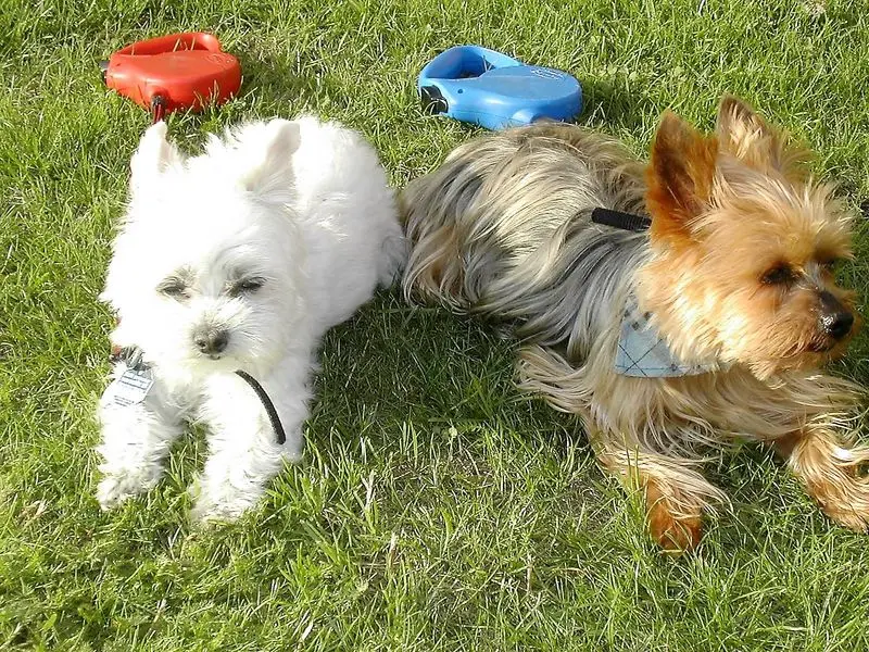 Condolence image of Karina