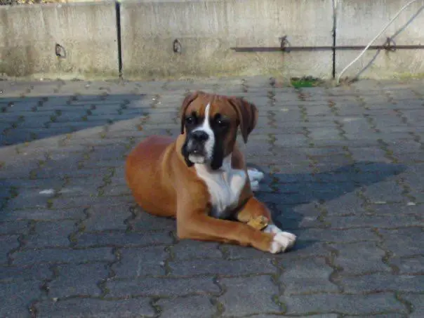 Condolence image of Yurdagül  Sertbas