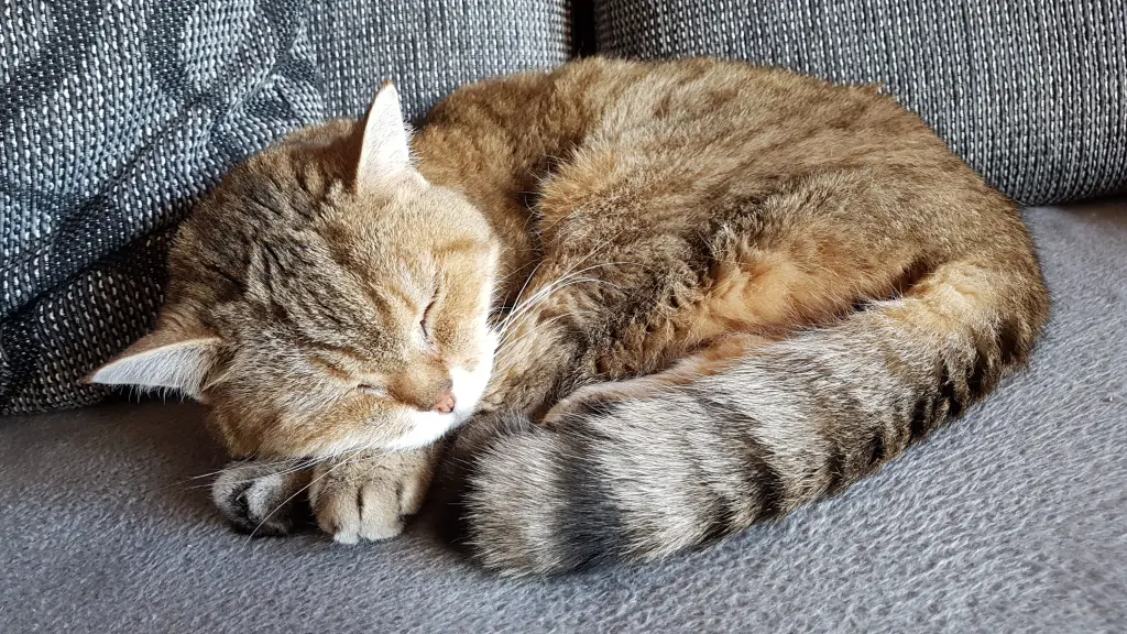 Condolence image of Bettina