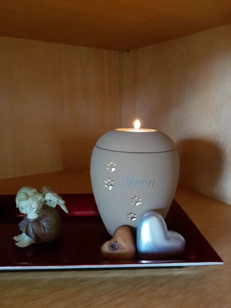 Image from Iron