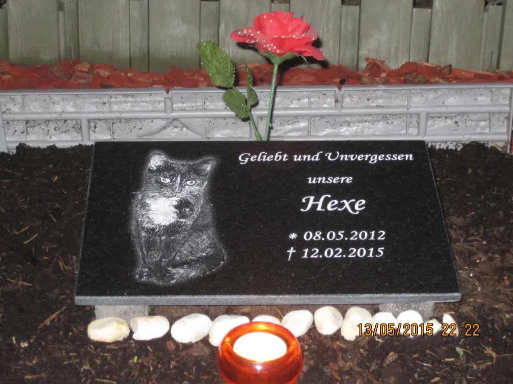 Image from Hexe