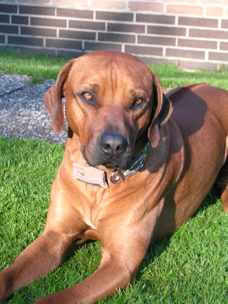 Condolence image of Britta