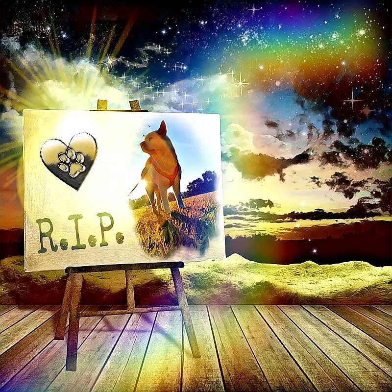 Condolence image of Elke Götz
