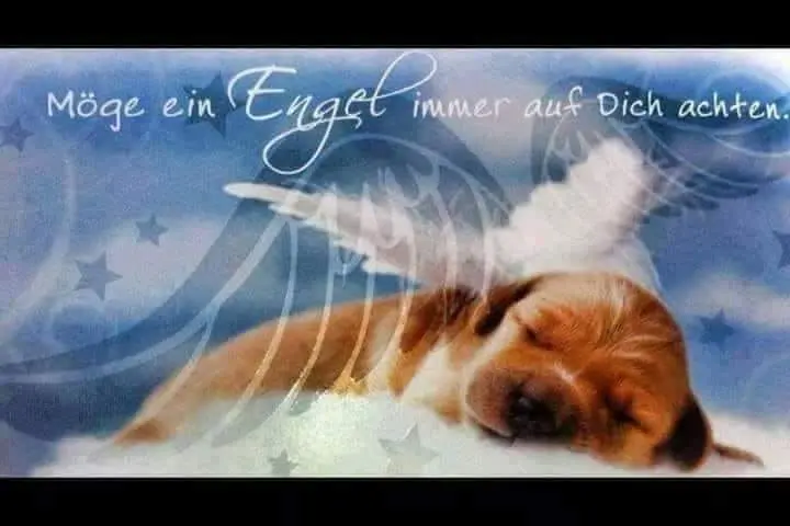 Condolence image of Carmen