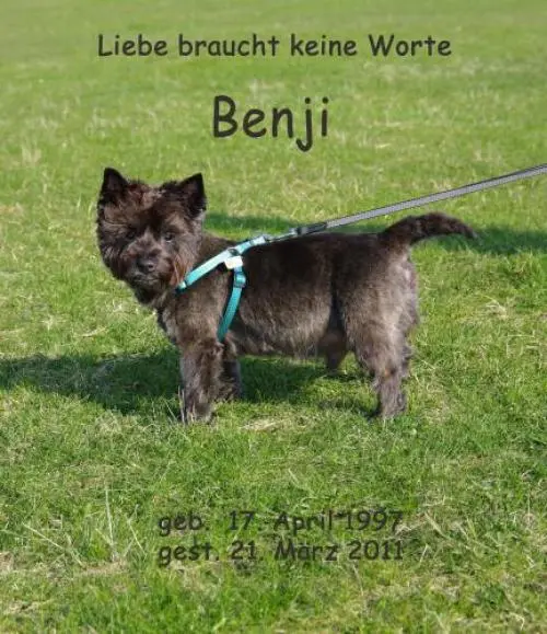 Image from Benji