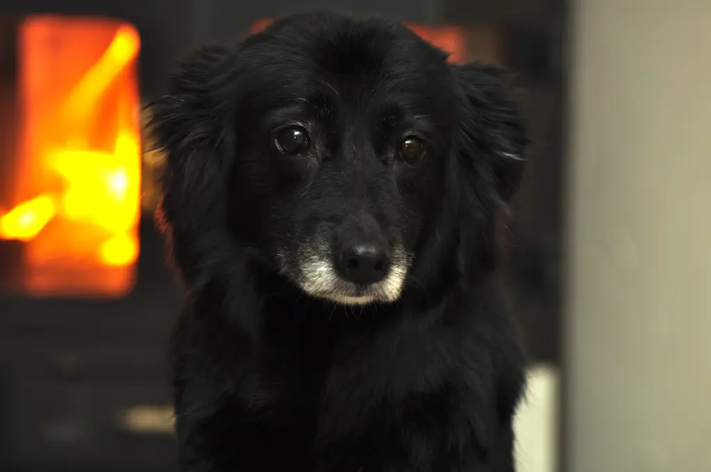 Condolence image of Sonja