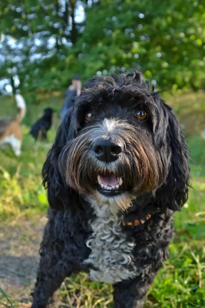 Condolence image of Marlies