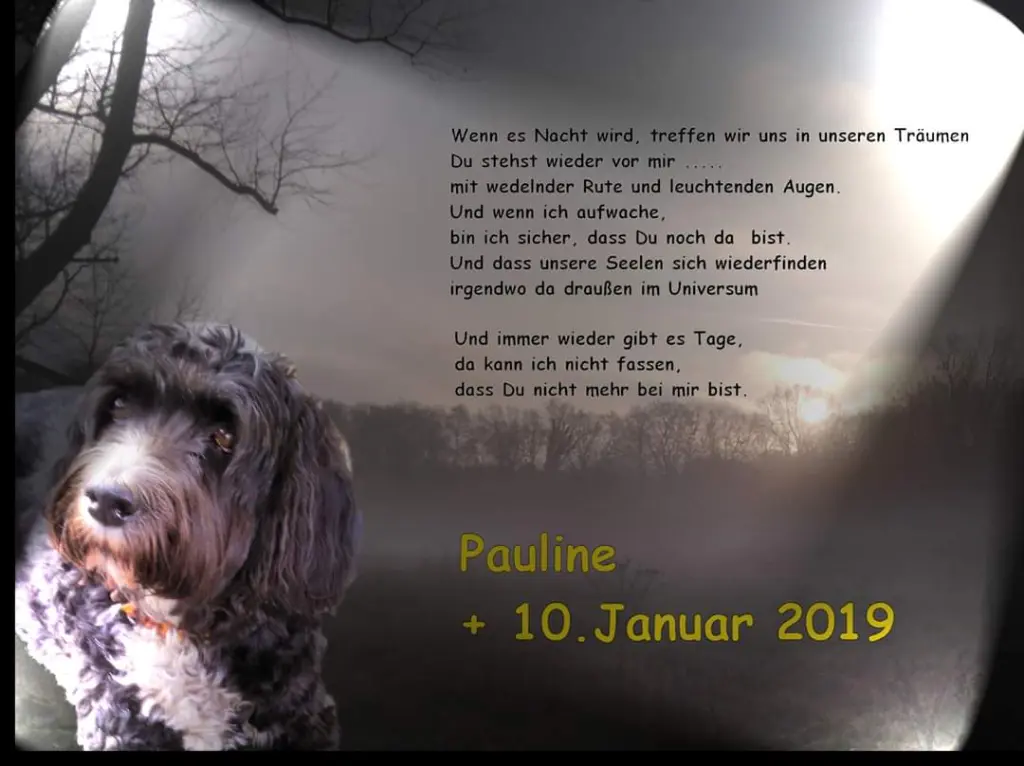 Image from Pauline