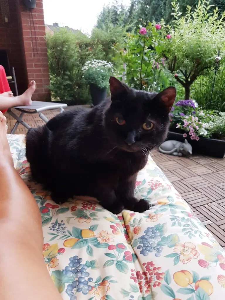 Andachtsbild von Erika