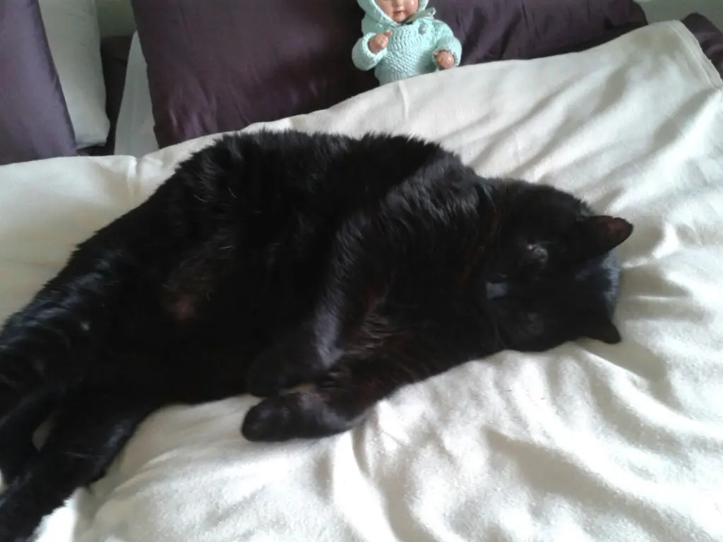 Andachtsbild von Moritz Mama & Horst