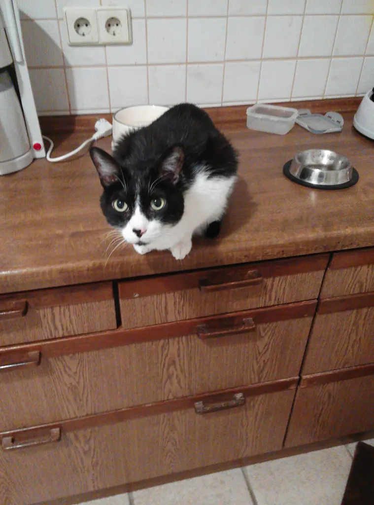 Image from Felix