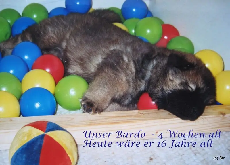 Andachtsbild von Gisela