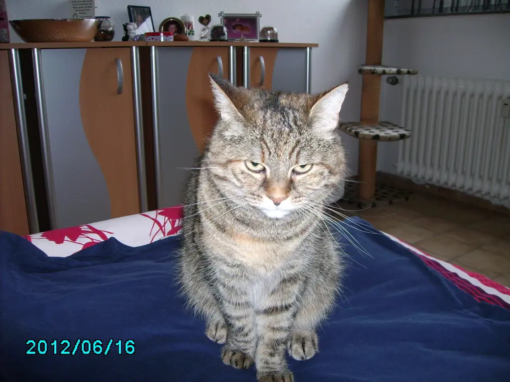 Image from Lucita