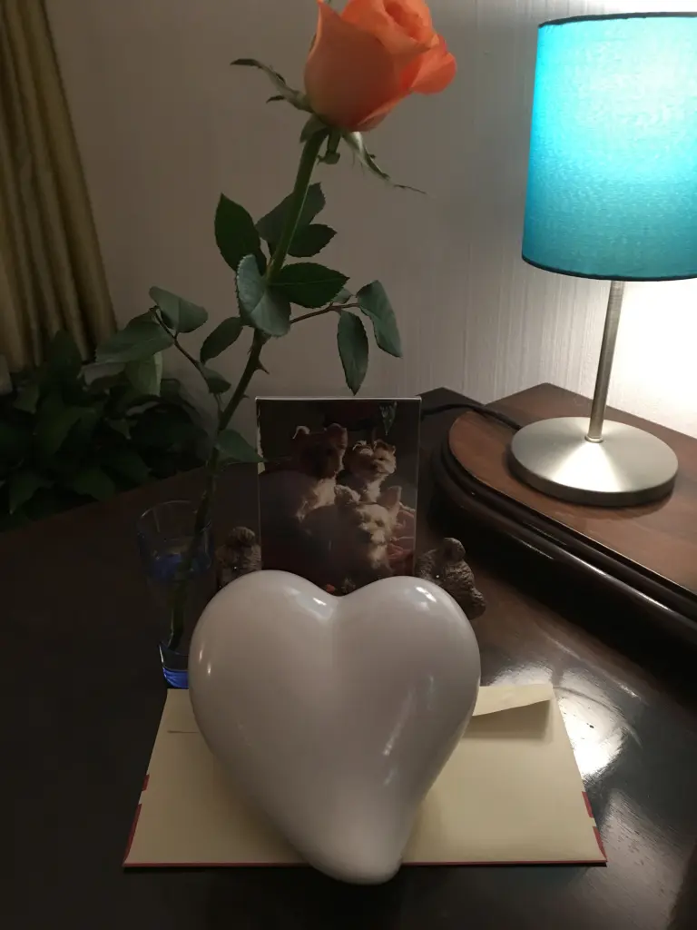 Condolence image of Unbekannt