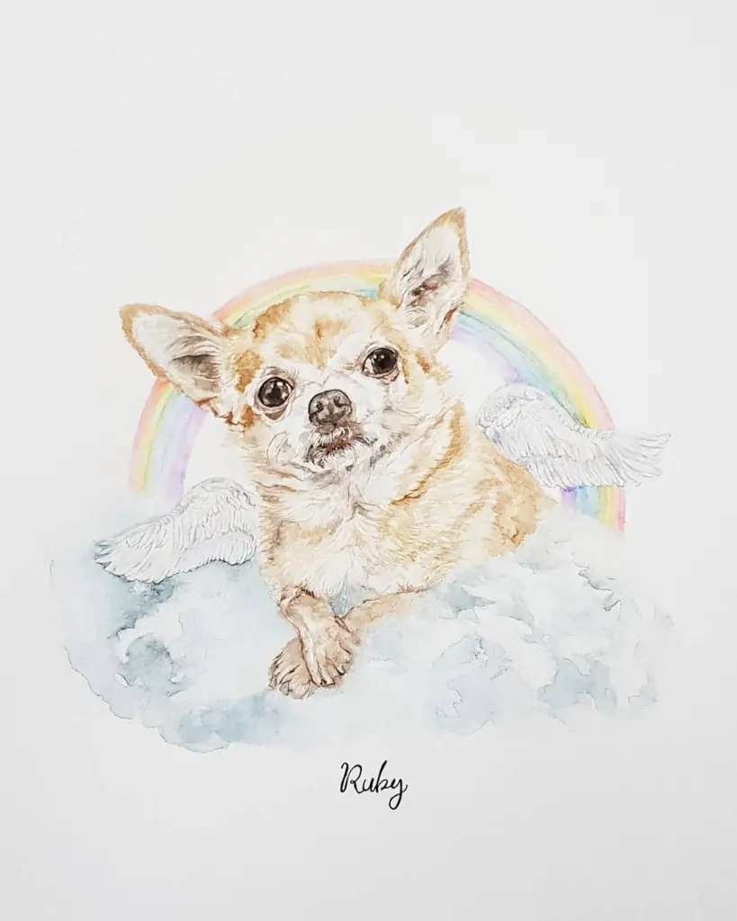 Image from Ruby