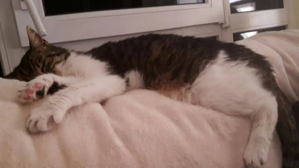 Condolence image of Susanne