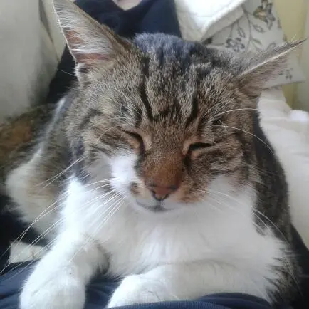 Image from Luna