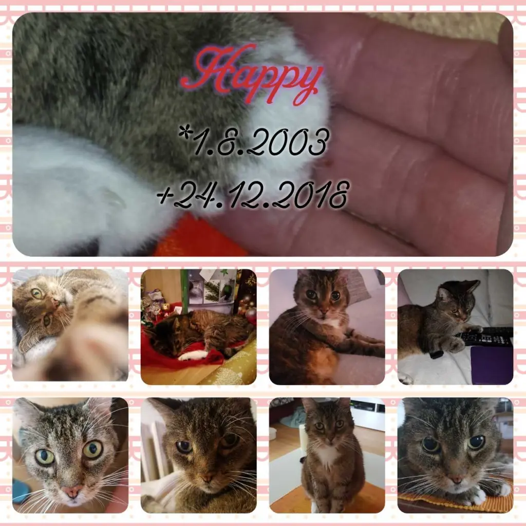Image from Happy