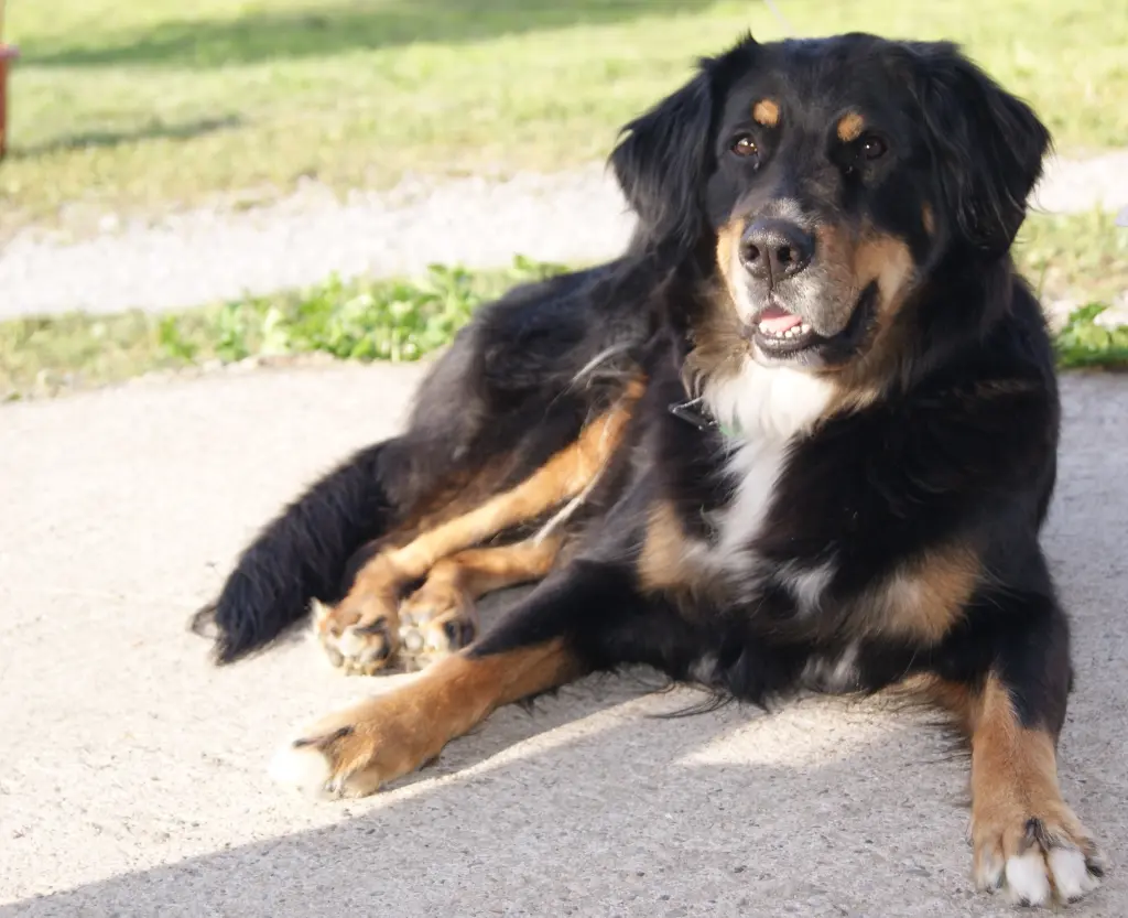Andachtsbild von Claudia mit Lana im Herzen