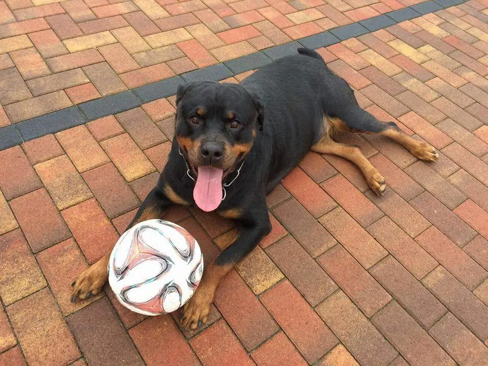 Andachtsbild von Elke