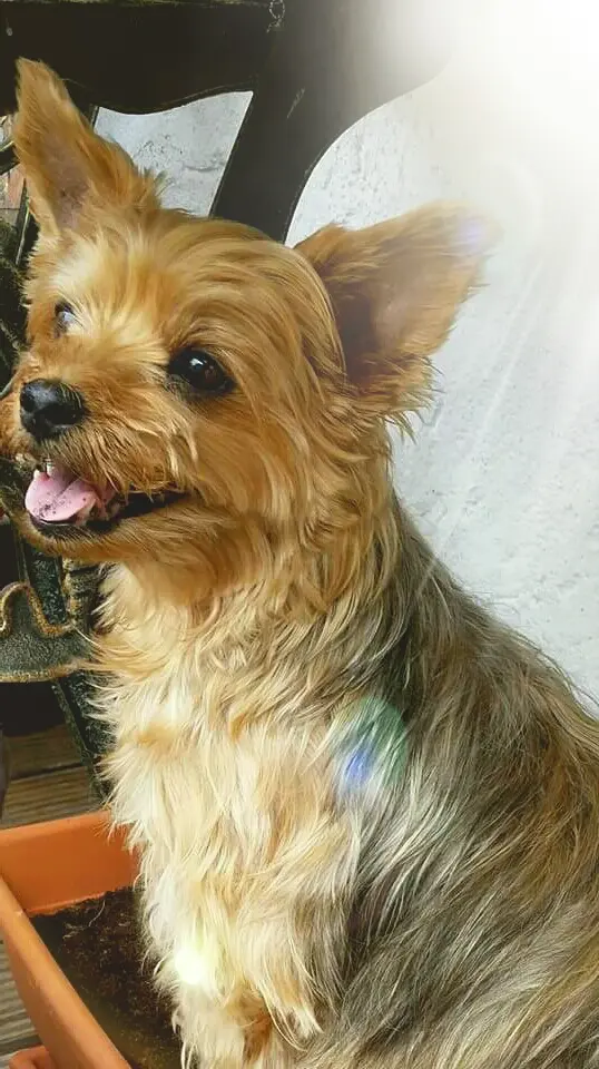 Image from Kitty