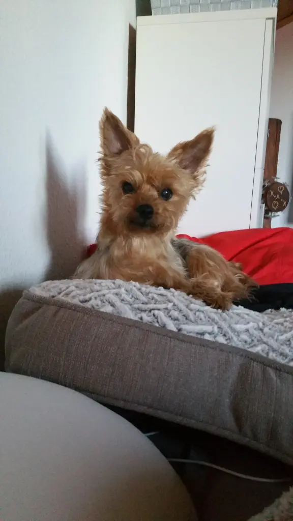 Image from Kitty