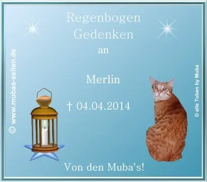Condolence image of Unbekannt
