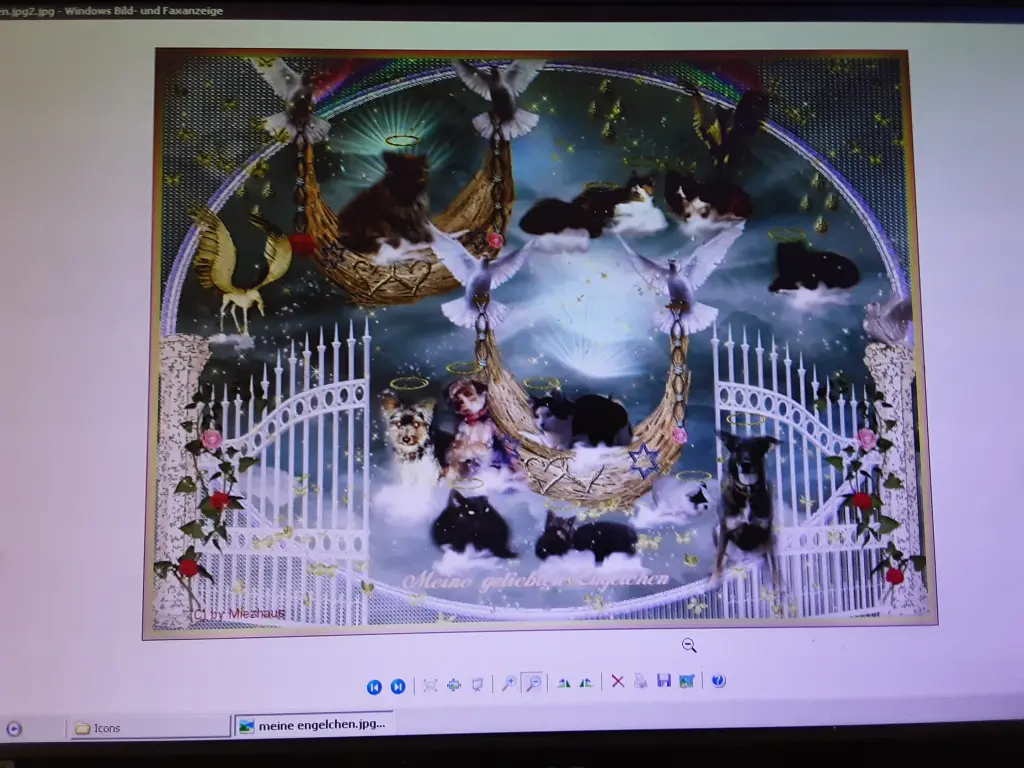 Condolence image of Frauchen 