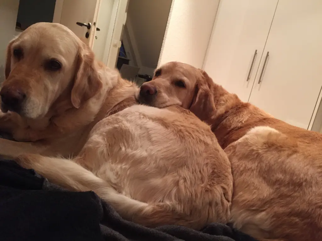 Condolence image of Brigitta