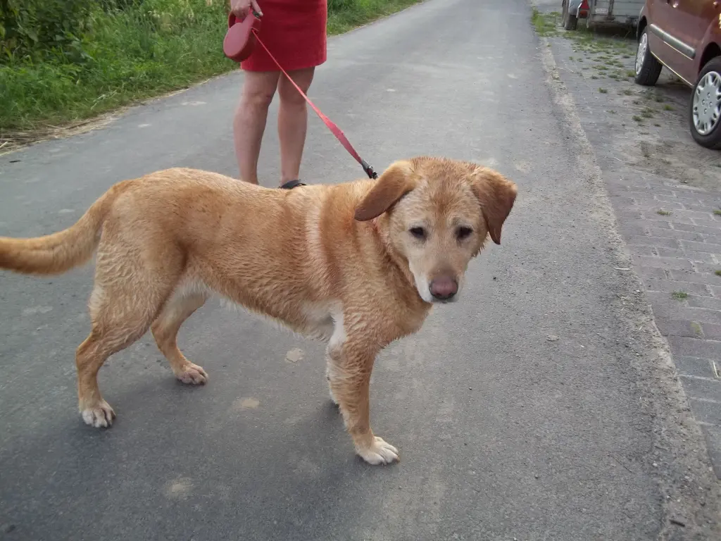 Condolence image of Unbekannt