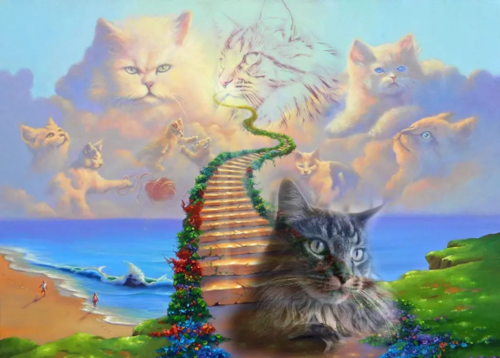 Condolence image of Blade of Cat Attack