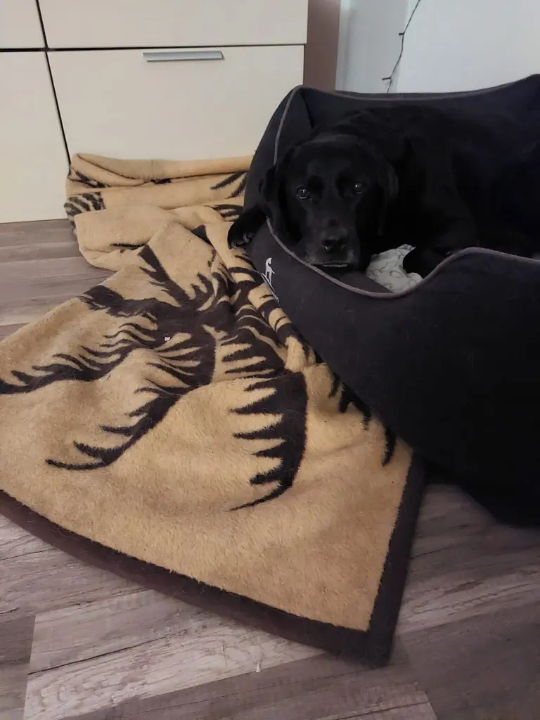 Andachtsbild von Nancy