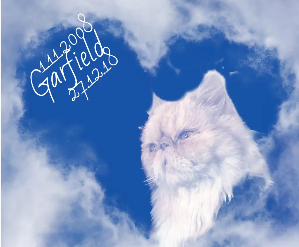 Image from Garfield