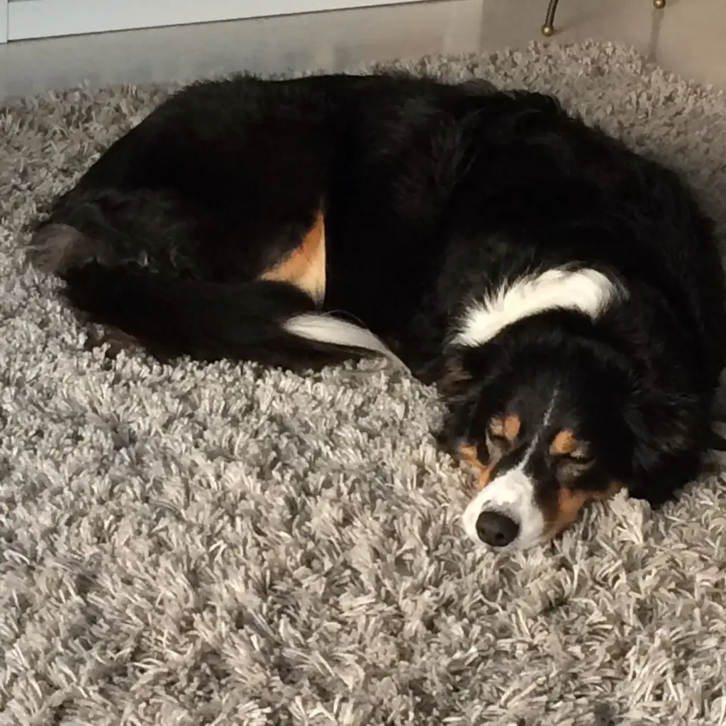 Condolence image of Wolfgang